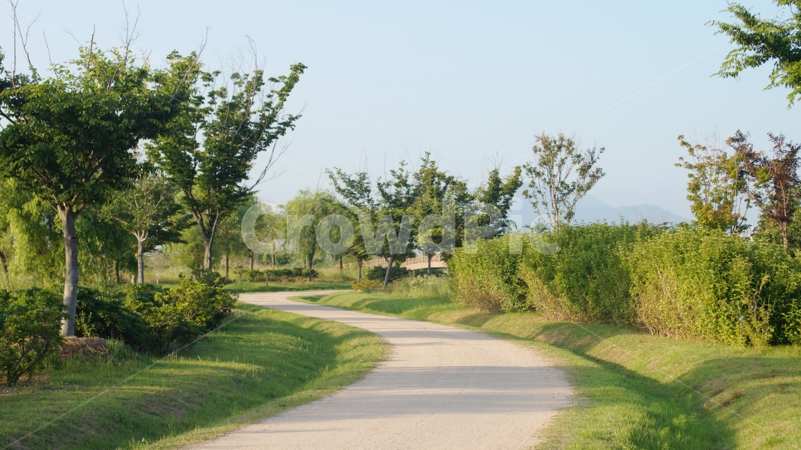 공원,길,나무,어우러짐,편안함,풍경사진,공원사진,자연,풍경,nature,landscape,tree,plant,식물,outdoors,옥외,road,도로