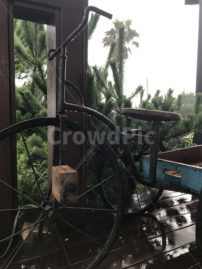 제주도,비,여행,자전거,카페,비,비오는날,rain,rainy,사물,물건,오브젝트,thing,object,matter