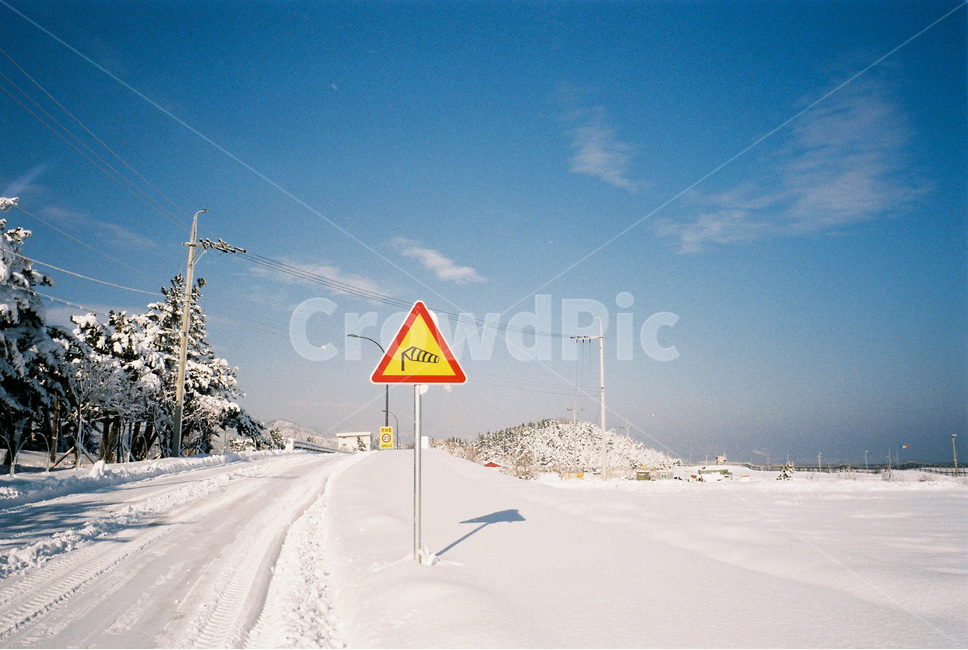 겨울,눈,겨울풍경,winter,snow,winterlandscape,blue,white,yellow,sign,표지판,나무,tree,눈쌓인나무,눈밭,하늘,sky,겨울,계절,winter,season,감성,sensible,feeling