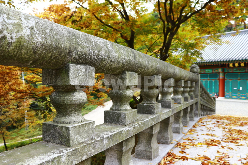 팔공산,다리,가을,낙엽,fall,bridge,temple,가을,계절,fall,autumn,season,한국전통,한국문화,korean traditional,korean culture,건축물,건물외관,exterior,building,structure,architecture,construction,banister,난간,handrail,railing