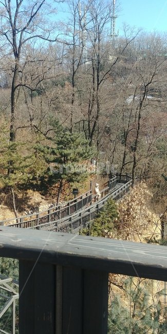 사람,숲,나무,공원,둘레길,모자
