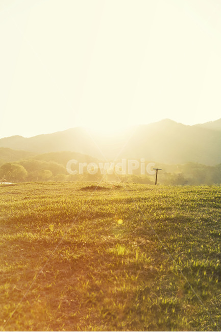 sunset,노을,잔디,풍경,햇살,자연,풍경,nature,landscape,감성,sensible,feeling,flare,플레어,light,빛,outdoors,옥외,sunlight,햇빛,grassland,목초지,field,들