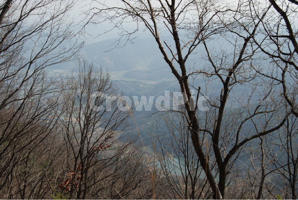 자굴산,의령군,휴양림,자연,봄,공원,자연,풍경,nature,landscape,한국자연풍경,한국자연경관,korea nature landscape,식물,plants,나무,trees,wood,outdoors,옥외