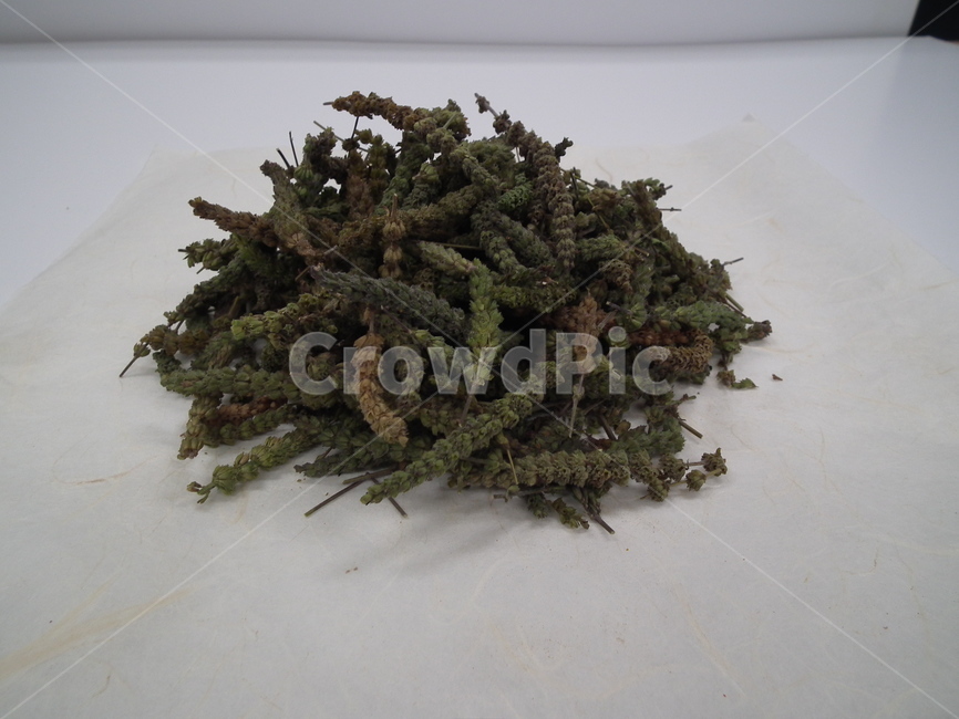 natural,Oriental medicine,orientalmedical,koreantraditional,medicine,Herb,regular price,Oriental medicine clinic,Chinese medicine,Heo Jun,Oriental medicine hospital,Oriental medicine doctor,Donguibogam,Plasticine,tonic,medicinal herbs,koreanmedicine,medic
