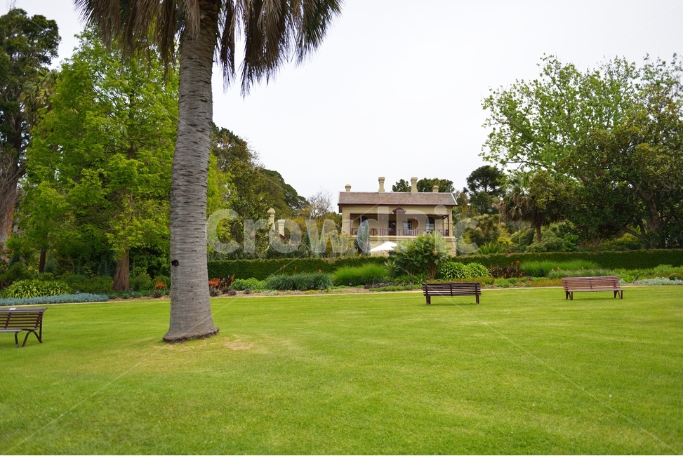 멜버른,멜버른공원,melbournepark,호주,공원,자연,풍경,nature,landscape,plant,식물,grass,잔디,bench,벤치,lawn