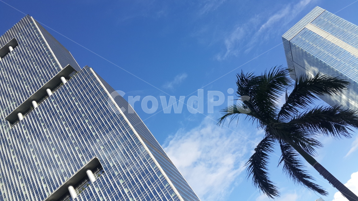 도시,자카르타,city,jakarta,빌딩,building