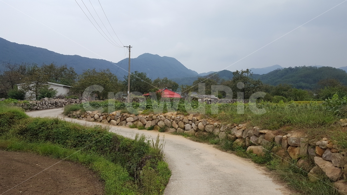 시골마을,시골길,돌담길,농촌,논밭사잇길,논밭길,시골,마을,풍경,landscape,country,rural,town