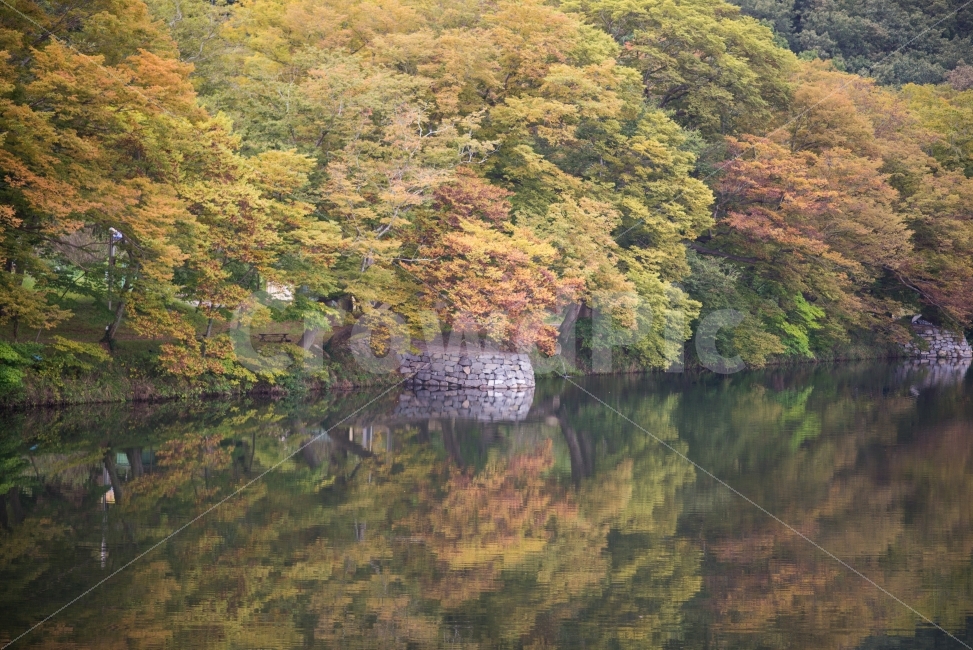 가을,화순,단풍,둔동마을,반영,강,자연,풍경,nature,landscape,가을,계절,fall,autumn,season,water,물,outdoors,옥외