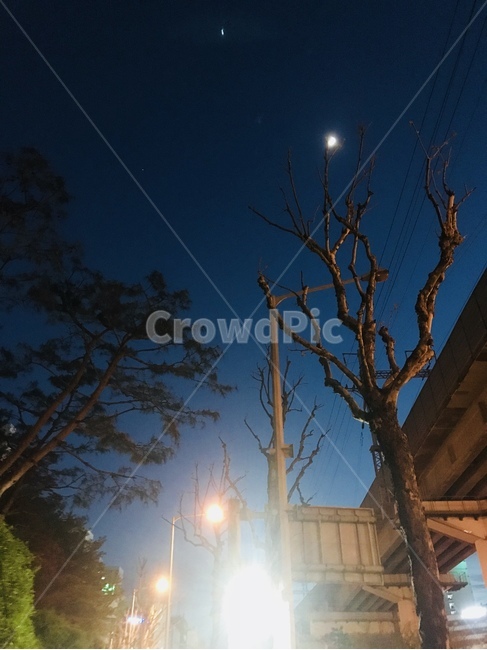밤하늘,달,가로등,깜깜한,별,moon,street,night,anightsky,nightsky