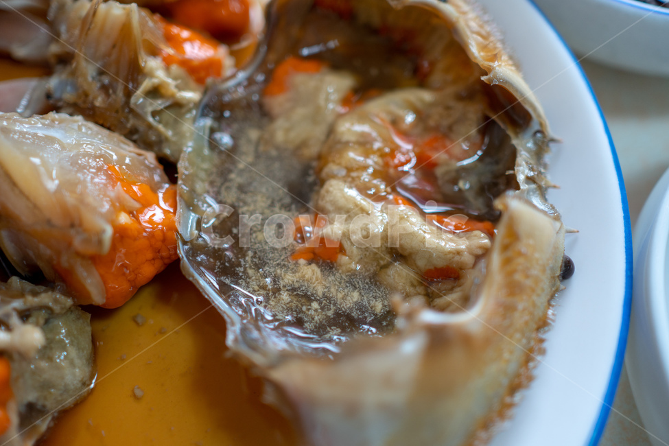 간장게장,게장,반찬,음식,맛집,게,게요리,요리,한국요리,한식,한정식,음식,식재료,요리,food,cook,meal,dishes,food reserves,수산물,해산물,fishery products,seafood,한식,한국음식,한국요리,korean food,korean dishes,korean meal,korean cook