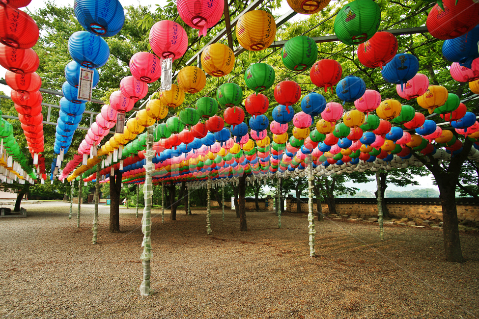 연등,부처님오신날,분황사,경주,사찰의식,경축,종교,신앙,religion,belief,faith