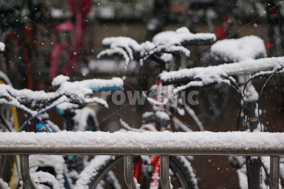 눈,폭설,snow,nature,outdoors,옥외,winter,storm,눈보라,겨울,계절,winter,season