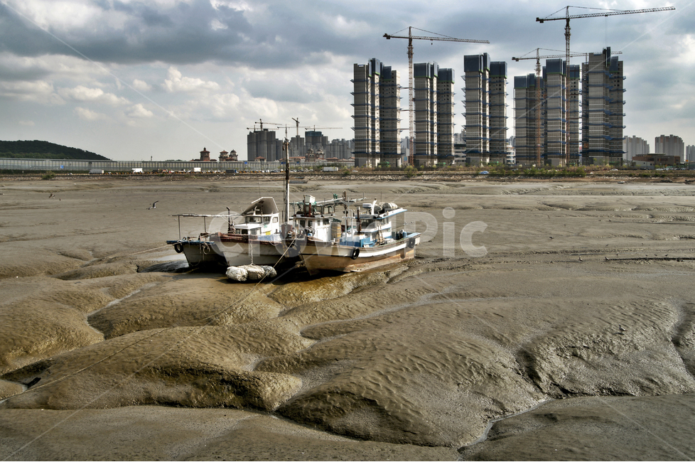 어선,월곶포구,포구,갯벌,썰물,산업,industry,industrial,어업,fishery,fishing industry