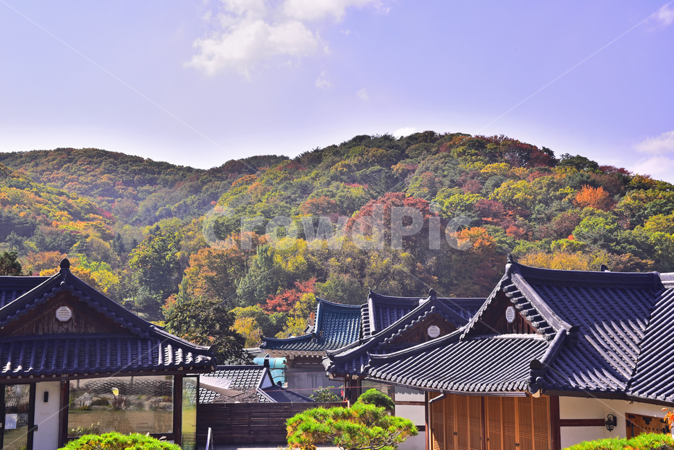남한산성,한국전통,가을,koreatraditional,한국자연경관,가을배경,단풍숲,forest,가을풍경,fall,season,시즌,계절,가을분위기,가을서정,야외,옥외,아웃도어,outdoor,autumn,한옥촌,한옥마을,전통양식,기와지붕,지붕,roof,가을,계절,fall,autumn,season,한국전통,한국문화,korean traditional,korean culture,건축물,건물외관,exterior,building,structure,architecture,construction