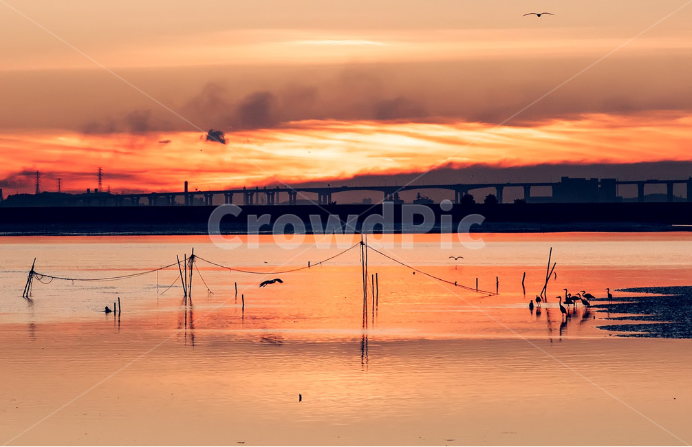 일몰,썬셋,낙조,노을,붉은노을,갈매기,바다,sun,sunet,sundown,자연,풍경,nature,landscape,감성,sensible,feeling,색깔,색상,색채,색감,color sense,color sensitivity,feeling of color