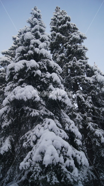 핀란드,로바니에미,산타마을,산타,산타파크,툰드라,겨울,계절,winter,season