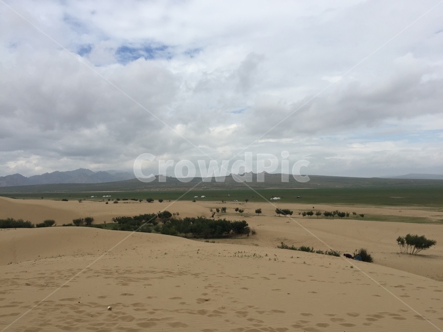 사막,척박,모래,나무,발자국,황사,구름,미세먼지,하늘,초원