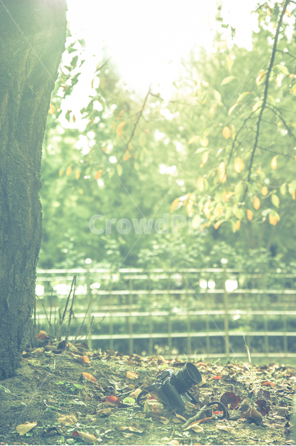 낙엽,공원,가을,녹색,카메라,green,emotional,가을,계절,fall,autumn,season,사진작가,포토그래퍼,photographer,감성,sensible,feeling,휴식,힐링,rest,relaxation,healing,land,땅,nature,자연,outdoors,옥외
