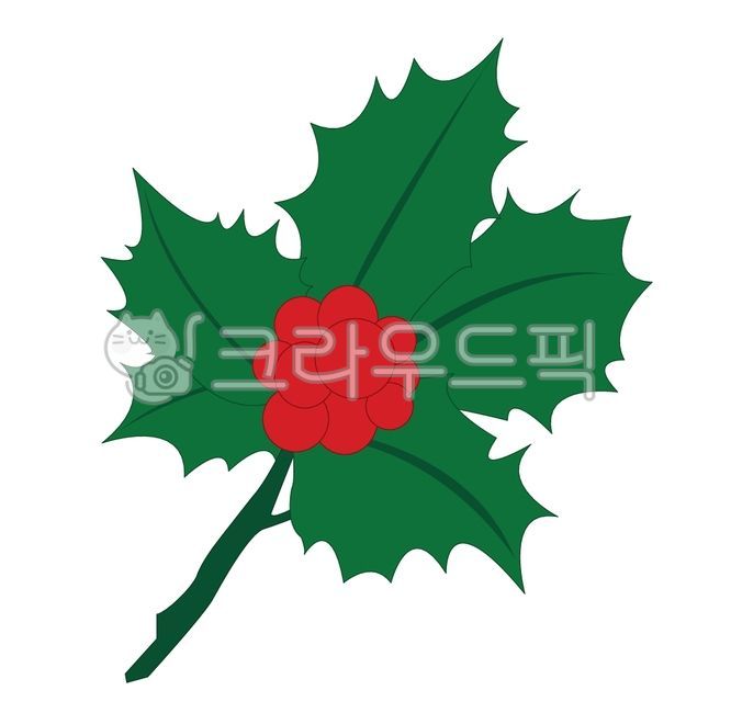 크리스마스,일러스트,크리스마스장식,크리스마스오너먼트,오너먼트,호랑이가시나무,호랑이발톱,크리스마스트리,리스,hollyleaf,holly,leaf,aquifoliaceae,가시나무잎,호랑이가시나무잎,호랑이가시나무열매,크리스마스열매,열매