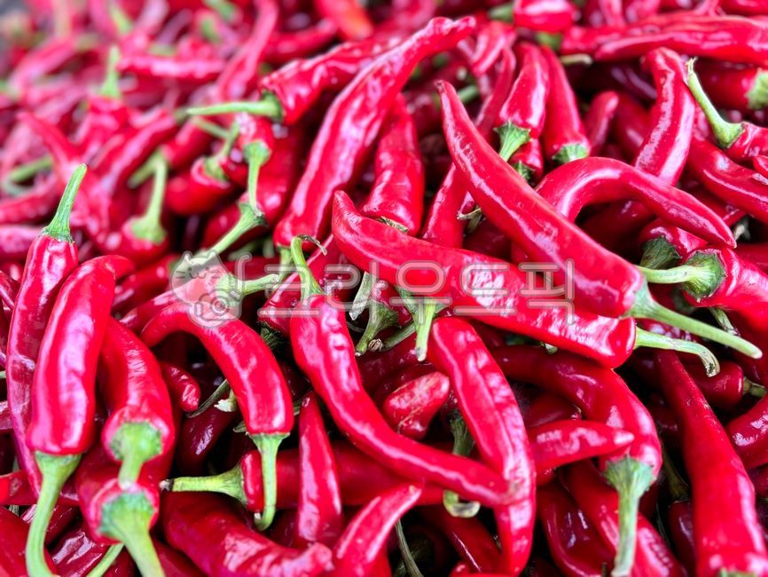 Chili pepper,red pepper,red pepper,sun pepper,gochujang,red pepper powder