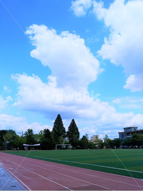 잔디,학교,하늘,운동장,파란색,초록색,식물,plant,grass