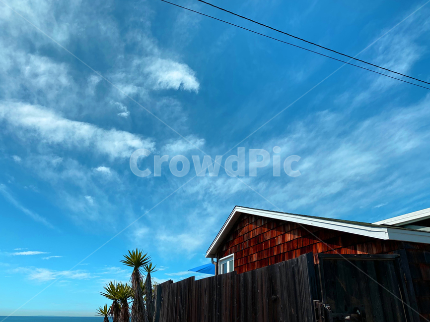 house,야자나무,summer,sky,chill