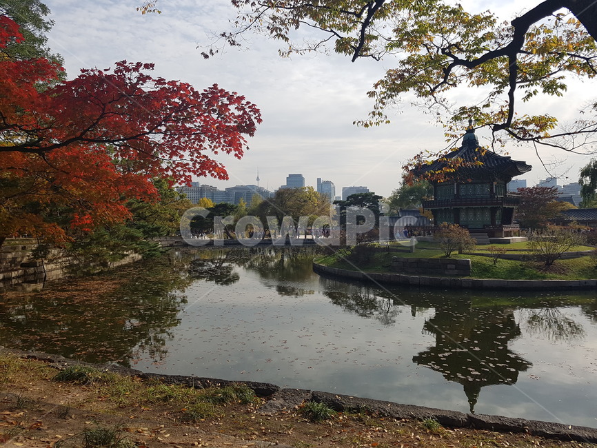 가을,fall,낙엽,풍경,산책,전통,tradition,계절,운치,휴식,자연