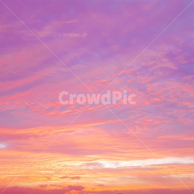 하늘,핑크,연보라,로즈쿼츠,세레니티,자연,풍경,nature,landscape,색깔,색상,색채,색감,color sense,color sensitivity,feeling of color,outdoors,옥외,sky