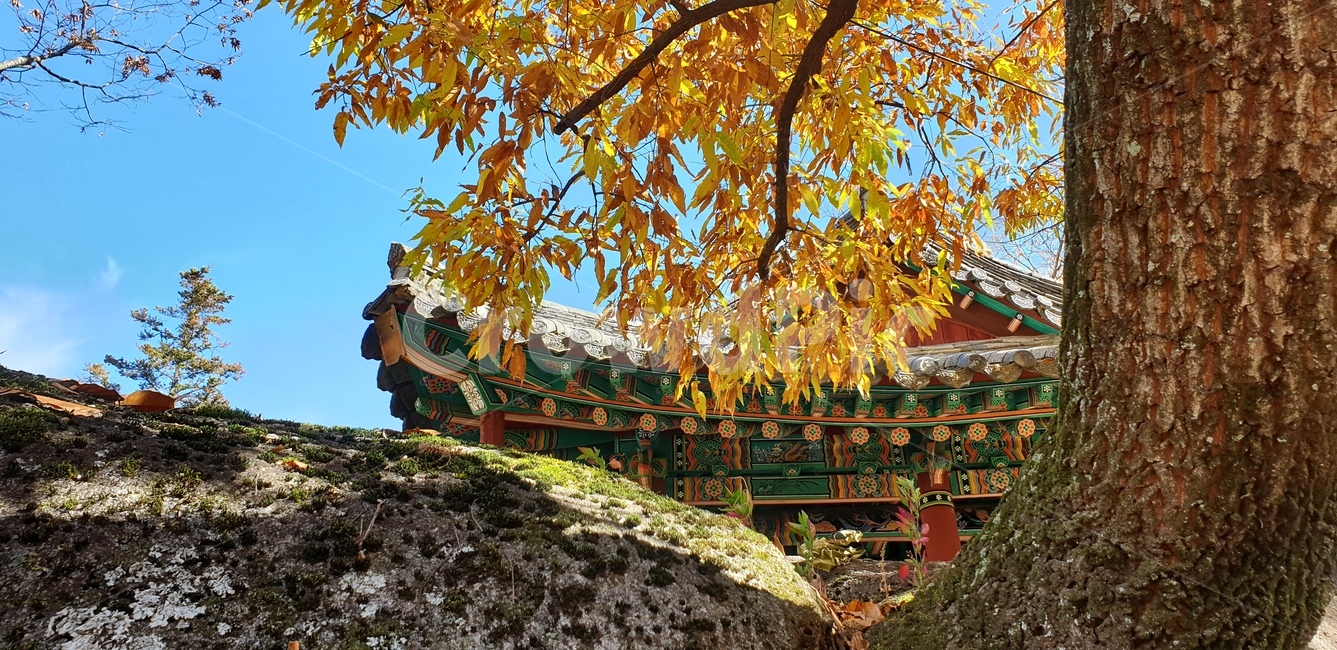 수승대,구연서원,문루,관수루,단풍
