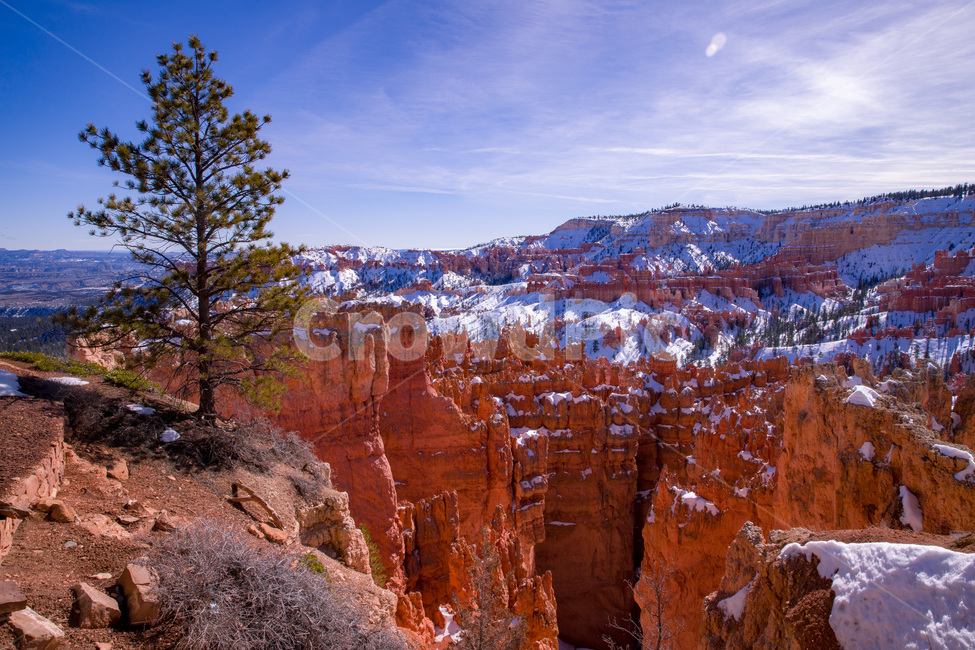famous,america,bryce,brycecanyon,brycecanyonnationalpark,canyon,erosion,geology,hoodoo,landmark,landscape,national,nature,orange,park,red,rock,scenic,sky,snow,southwest,tourism,usa,utah,view,미국,유타,브라이스캐년,눈,겨울,자연,산