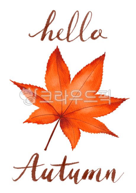 november,Botanical,red,Maple leaf,beautiful,botanical,drawing,english,season,decoration,handwork,natural,hand drawing,tree,watercolor,closeup,background,plant,october,autumn,Watercolor,poster,calligraphy,colorful,lettering,Callie,seasonal,botany,bright,is