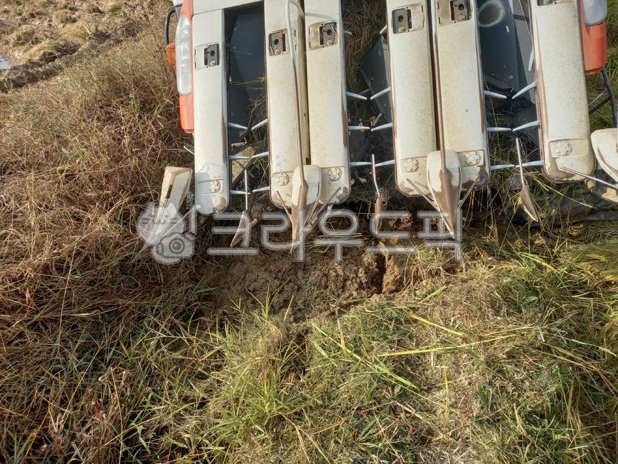 콤바인,콤바인수리,추수,추수작업,콤바인작업