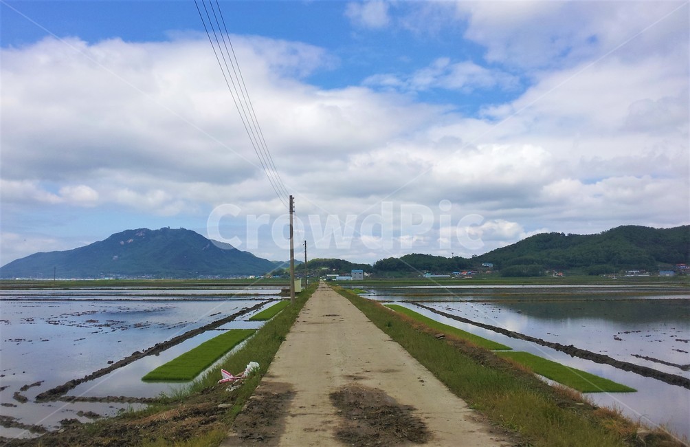 자연,풍경,논,밭,산,하늘,구름,시골,도로