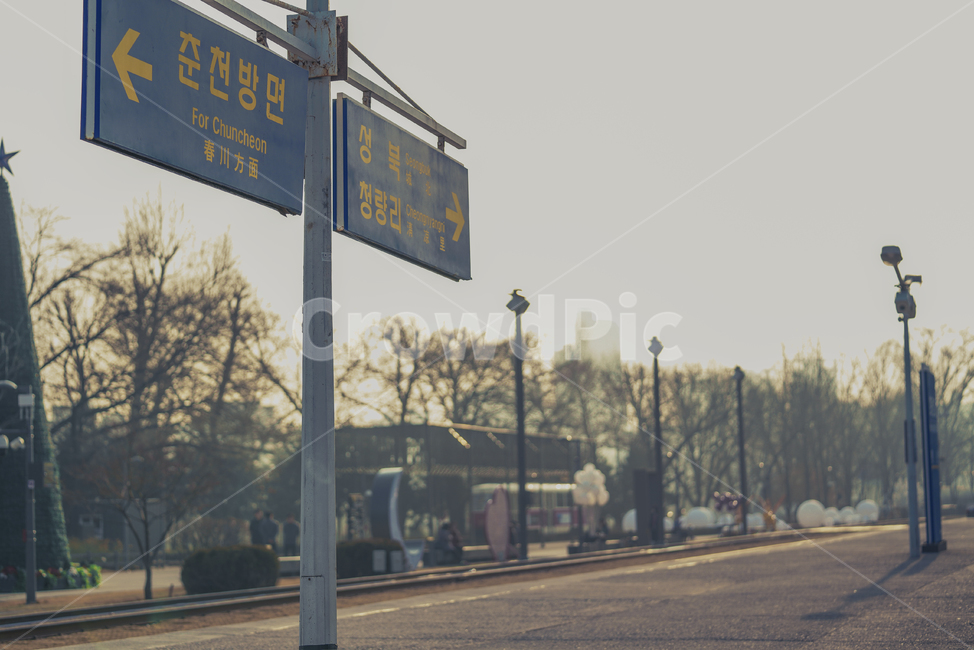 거리,이정표,게시판,안내판,길,야외,공원