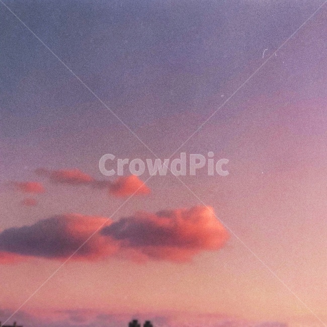 하늘,감성,구름,분홍빛,보라색하늘,sky,필름카메라