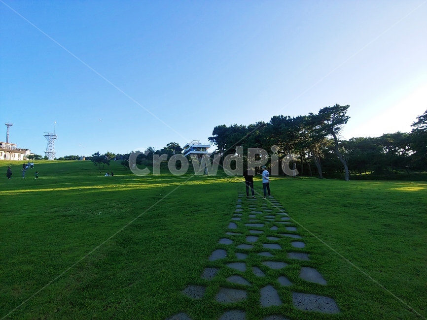 잔디,간절곳,울산,하늘,사람,자연,풍경,nature,landscape,plant,식물,grass