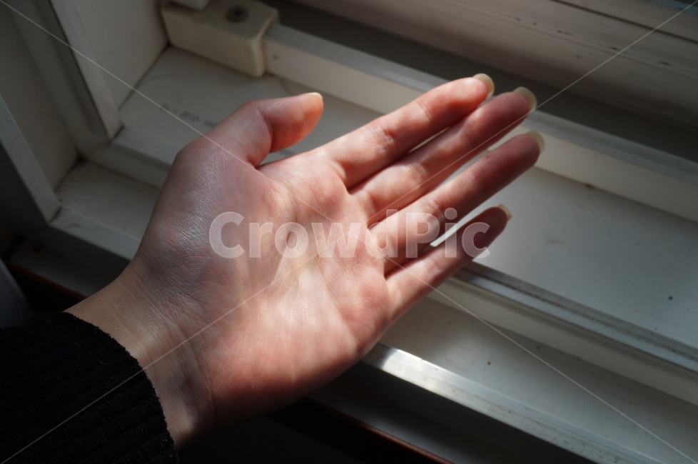 인간,사람,손,hand,음영진손,빛,분위기,음영