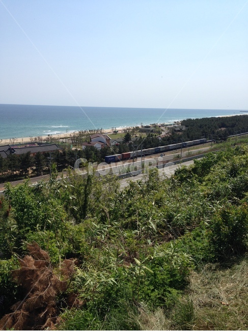 바다,동해,자연,풍경,여름,sea,eastsea,nature,landscape,scenery,summer