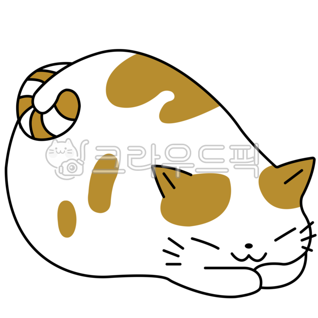 cheese cat,Pets,cat day,cat,nose short,animal,bread cat,cat illustration,pet