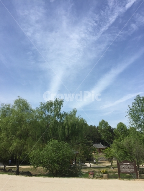 하늘,구름,여름하늘,단양,죽림원,자연,풍경,nature,landscape,한국자연풍경,한국자연경관,korea nature landscape,outdoors,옥외