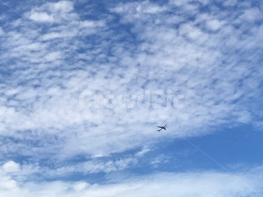 하늘,비행기,구름,sky,cloud,새털구름,파란구름