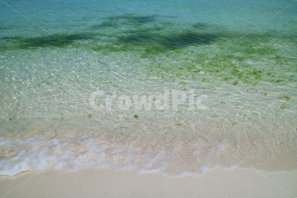 ocean,대양,nature,자연,water,물,shoreline,바다,sea,옥외,outdoors,해안선,바닷물,파도,모래성,모래사장,모래