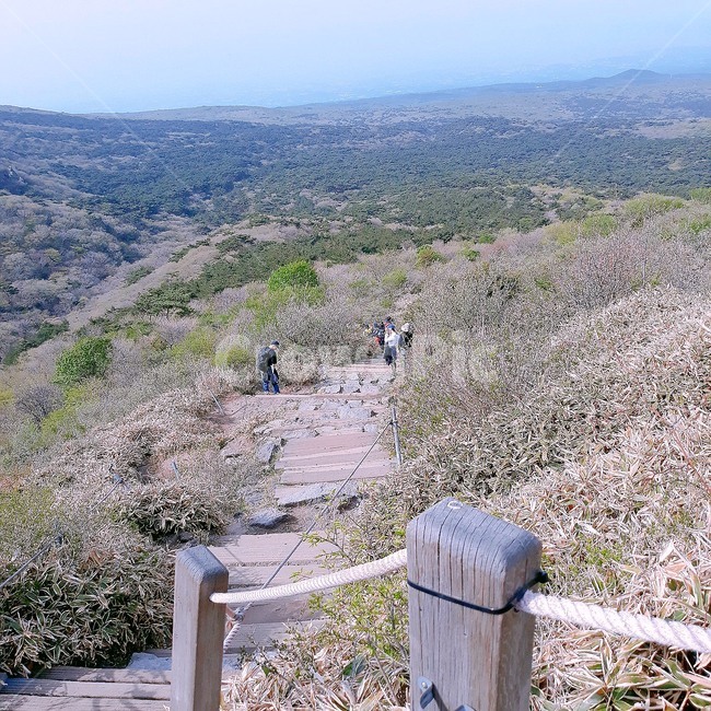 제주도,한라산,산,등산,자연
