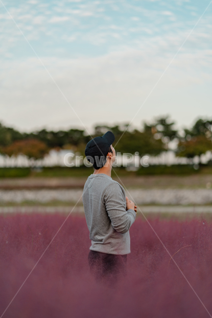 핑크뮬리,꽃,인물,가을,풍경,구름,나무,배경,human,인간,person,사람,뚝방길,맑음,푸른,가을,계절,fall,autumn,season,사람,인물,인간,human,person,남성,남자,man,male