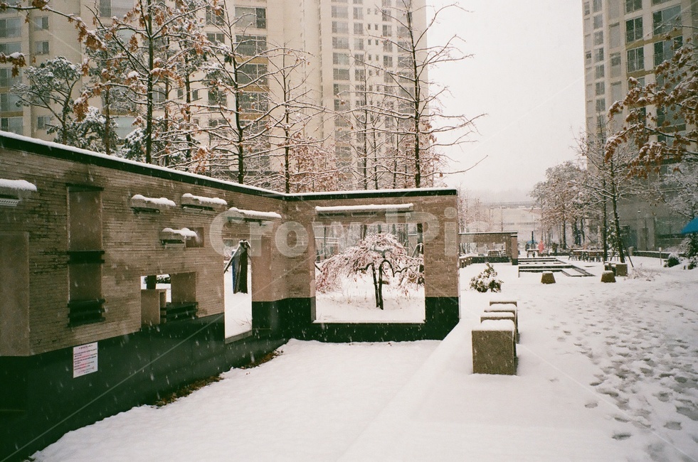 film,analog,필름,감성,wall,snow,winter,겨울,계절,winter,season,도시,풍경,city,landscape,한국도시풍경,한국도시경관,korea cityscape,감성,sensible,feeling,nature,자연,outdoors,옥외