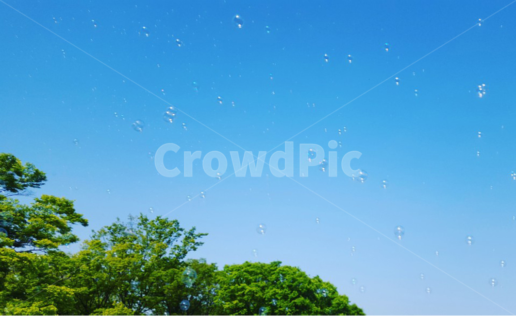 파란하늘,비눗방울,여름,넓은하늘,감성사진,나무,내음,자연,풍경,nature,landscape