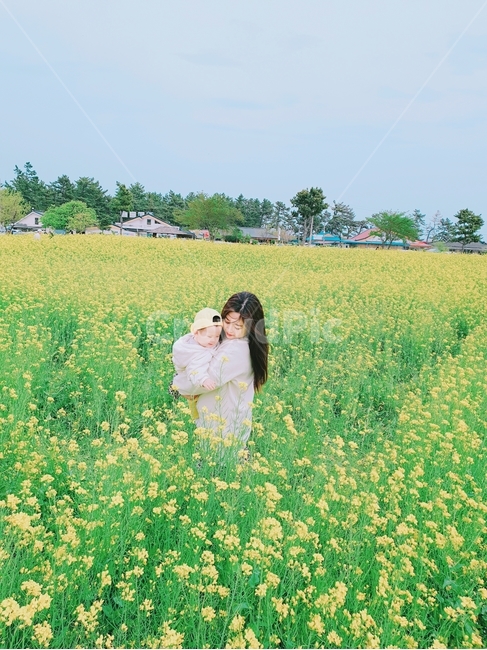 봄,꽃,봄꽃,꽃구경,유채꽃,여행,엄마와아들,spring,flower,travel