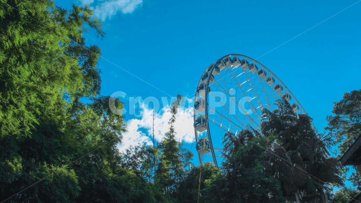 호주,사우스뱅크,관람차,브리즈번,australia,southbank,brisbane,big,wheel