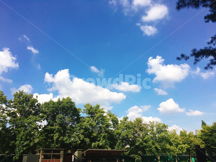outdoors,옥외,nature,weather,자연,날씨
