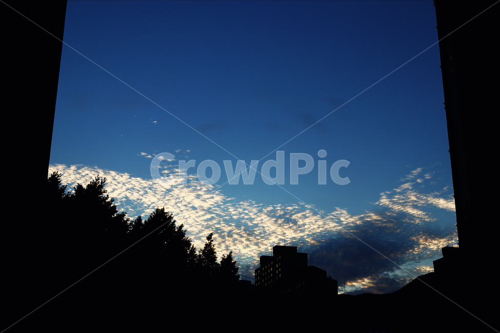 자연,nature,파랑,뻥뚤린,건물,silhouette,outdoors,옥외,실루엣,구름,나무,우주,신비로운,자연,풍경,nature,landscape